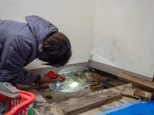 Best Comprehensive Air Testing for Mold Contaminants  in Ashland, OR
