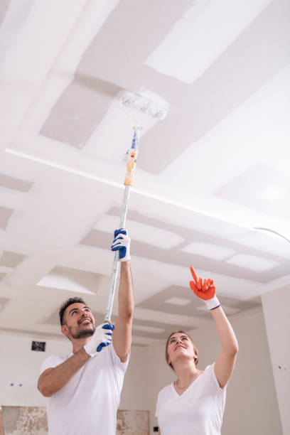 Trusted Ashland, OR Mold Removal Experts