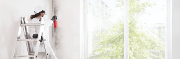 Best HVAC Mold Inspection and Cleaning  in Ashland, OR